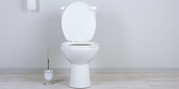 Toilet clogged water high