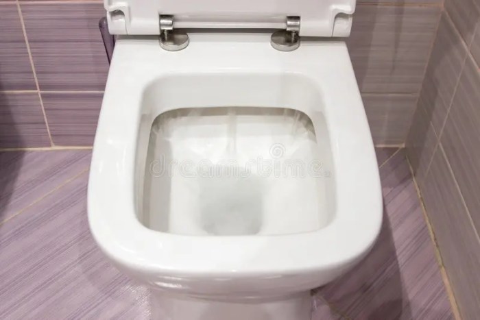 Flushing sciacquone toalett spolar acqua vatten close su het upp sluit spoelen omhoog washing coating sanitary spola flush correcting ware Flushing sciacquone toalett spolar acqua vatten close su het upp sluit spoelen omhoog washing coating sanitary spola flush correcting ware