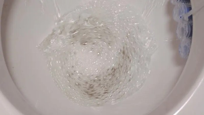 Water drains from toilet bowl after flushing