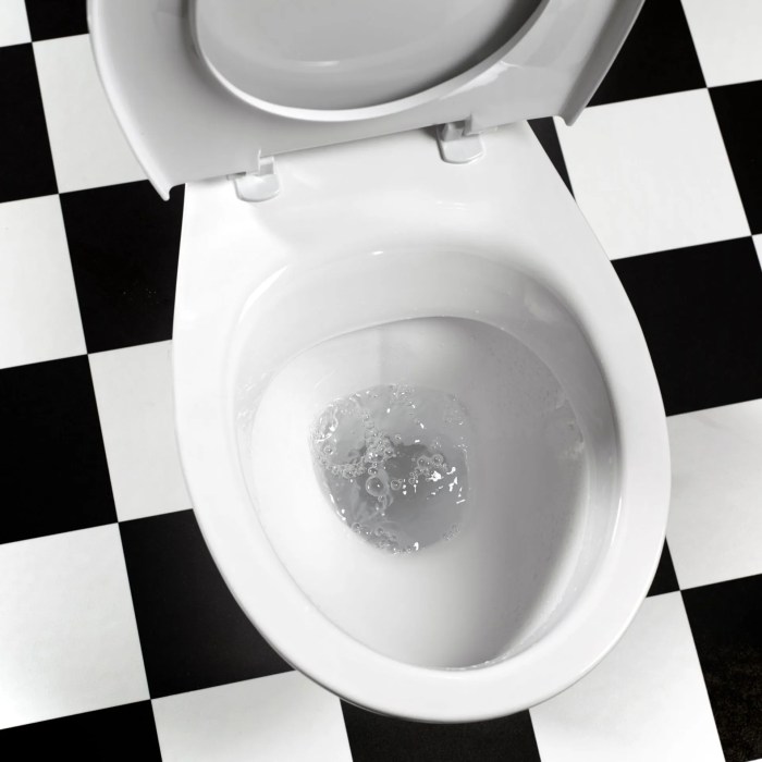Shower and toilet overflowing