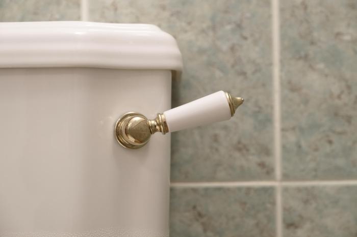 Shower and toilet overflowing