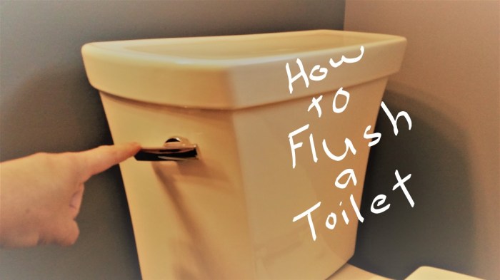 Get water out of toilet