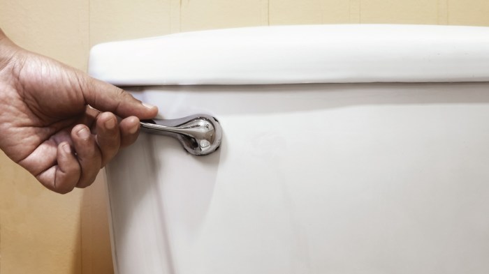 All toilets in house flushing slowly