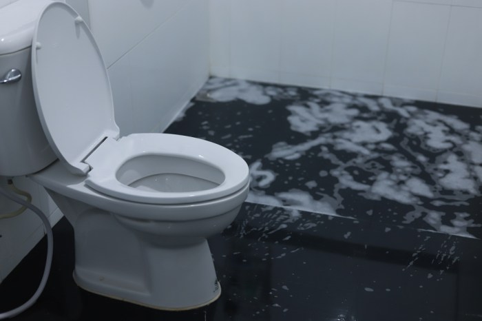 Sewer water coming up toilet