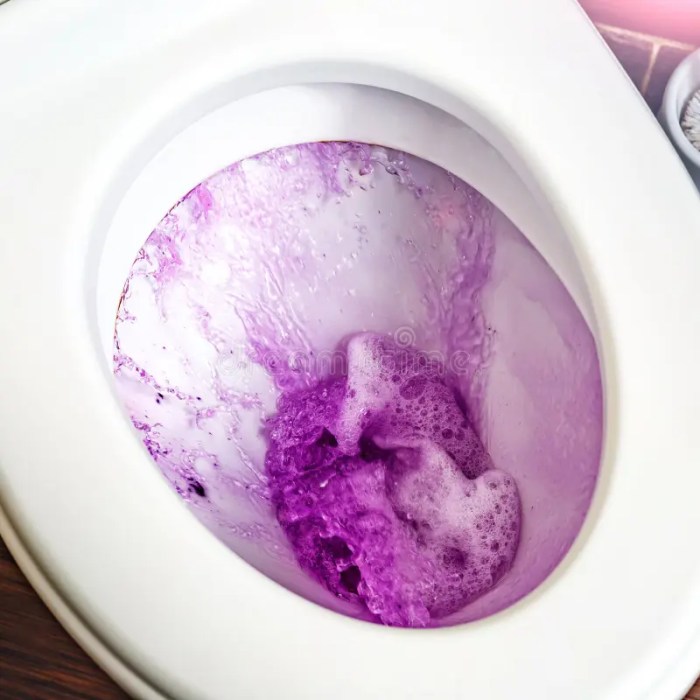 Water drains from toilet bowl after flushing