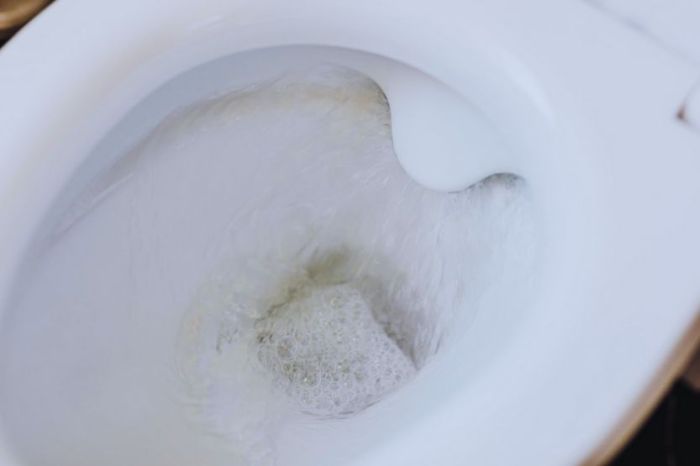 Flushing toilet still its comments question own plumbing Flushing toilet still its comments question own plumbing