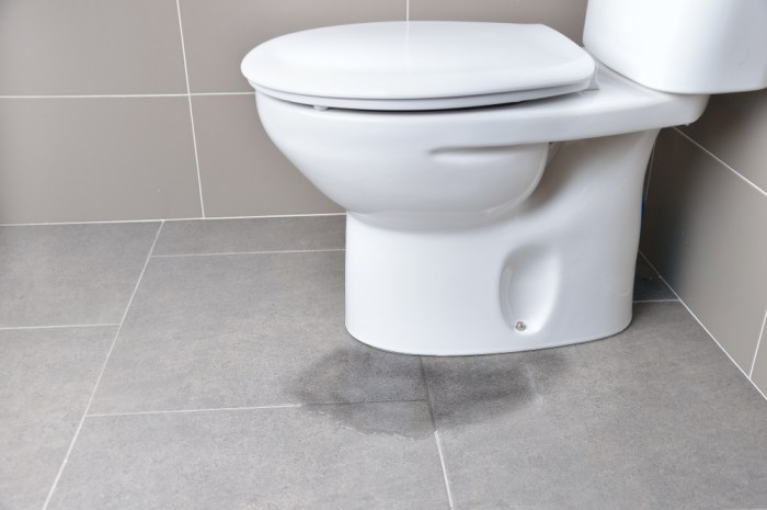 Sewer water coming up toilet