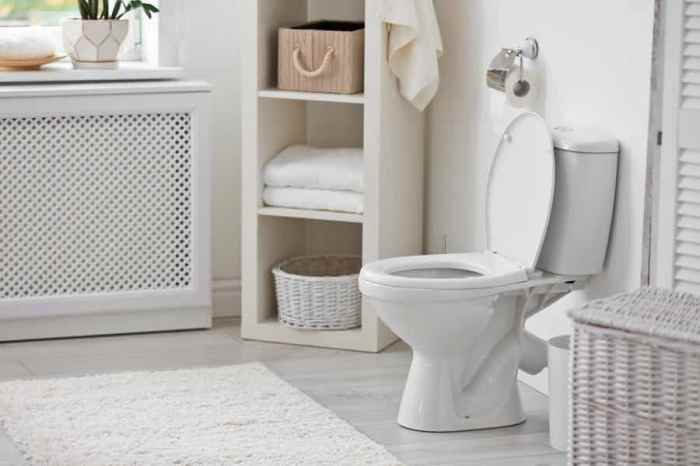 Sewer water coming up toilet